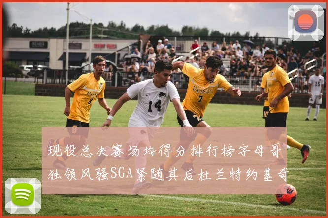 现役总决赛场均得分排行榜字母哥独领风骚SGA紧随其后杜兰特约基奇东契奇争夺第三